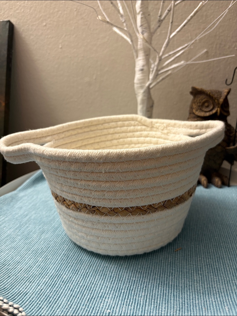 Neutral Two-Tone Woven Storage Basket - Set of 2 - Picture 4 of 5